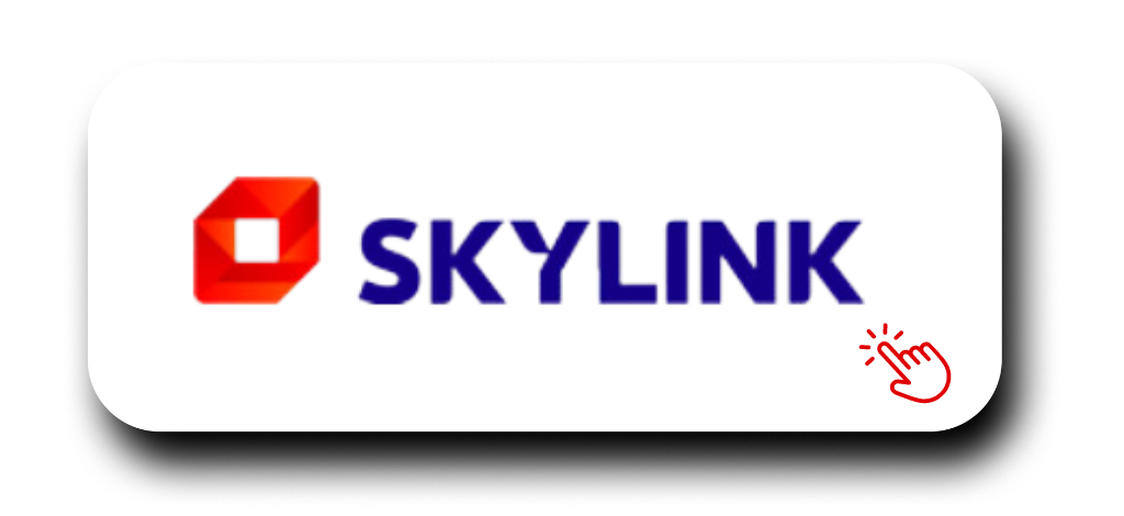Logo poskytovatele internetové televize Skylink