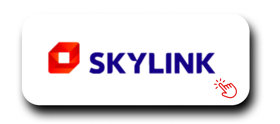 Logo poskytovatele internetové televize Skylink